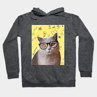 Intelectual cat Hoodie